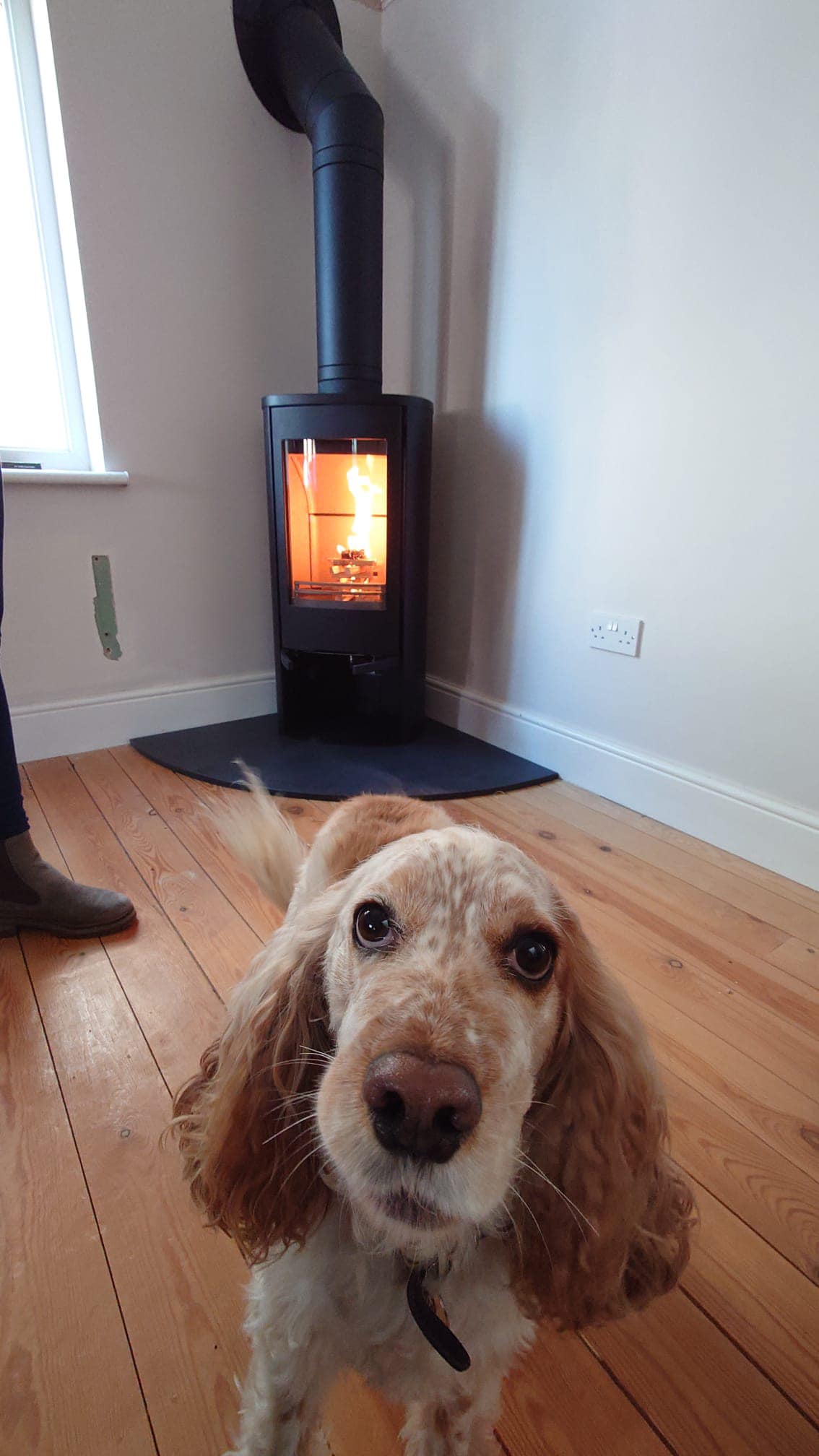 Stove Image
